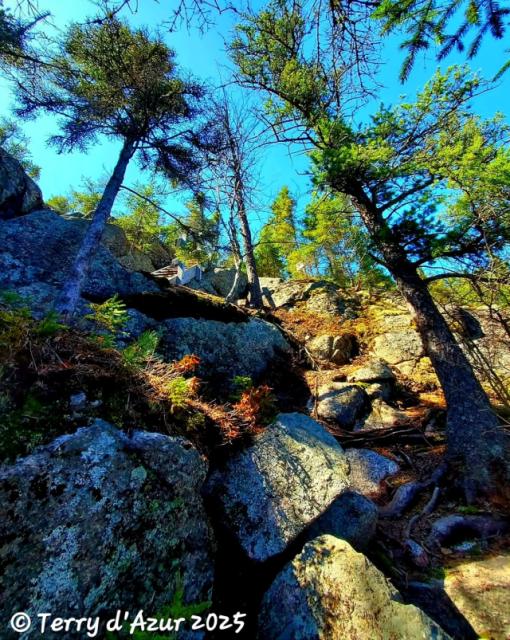 Sentier Eucher © T. d'Azur © Terry W. Gravel