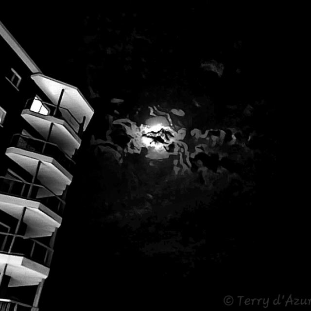 © Terry d'Azur © Terry W. Gravel