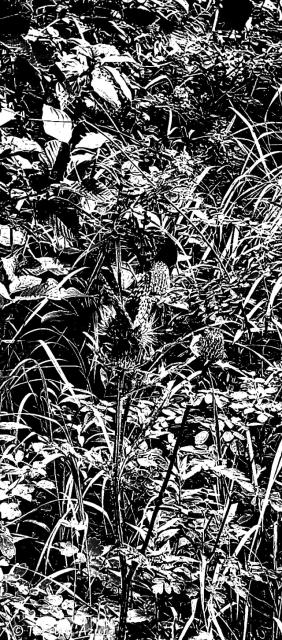 20260913_223205.jpg