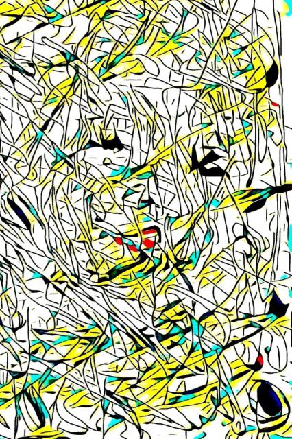 20260419_144923.jpg