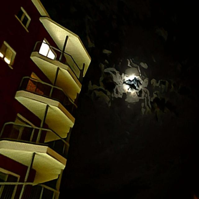20260909_002431.jpg