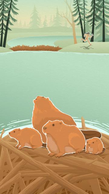 la légende du castor géant - illustration 09