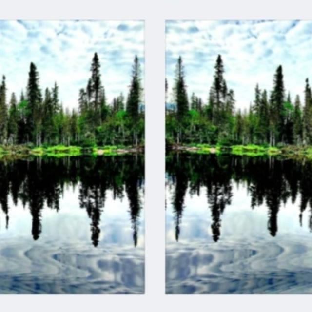 screenshot_20260829-040923_gallery.jpg