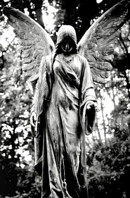 © Terry d'Azur © Terry W. Gravel Retouches