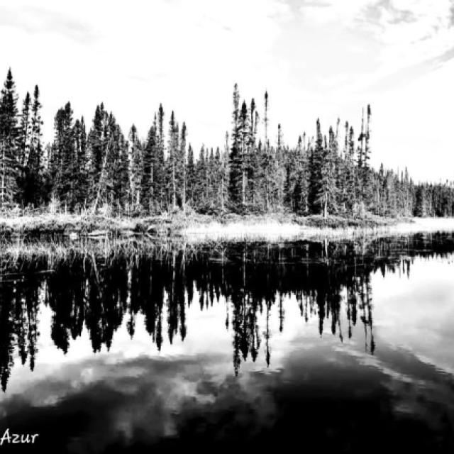 © Terry d'Azur © Terry W. Gravel