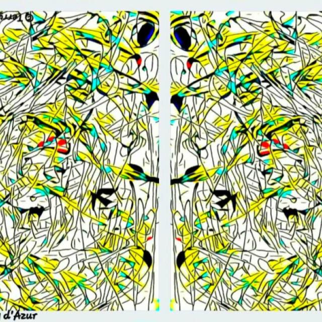 © T. d'Azur © Terry W. Gravel