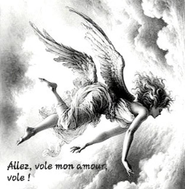 Photo Internet. Texte © Terry d'Azur.