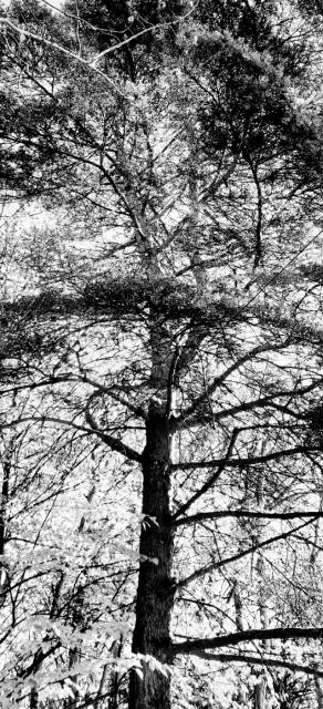 20261005_193658.jpg