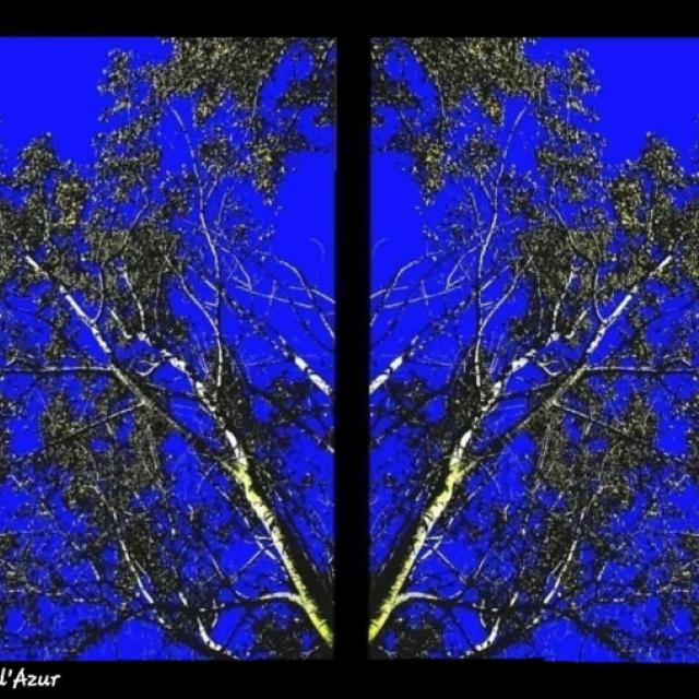 20260423_185900.jpg