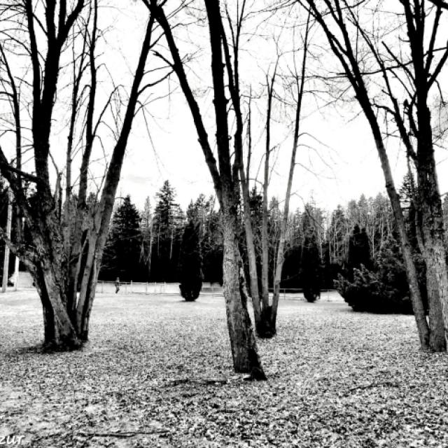 © Terry d'Azur ©Terry W. Gravel