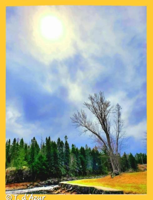 © Terry d'Azur ©Terry W. Gravel