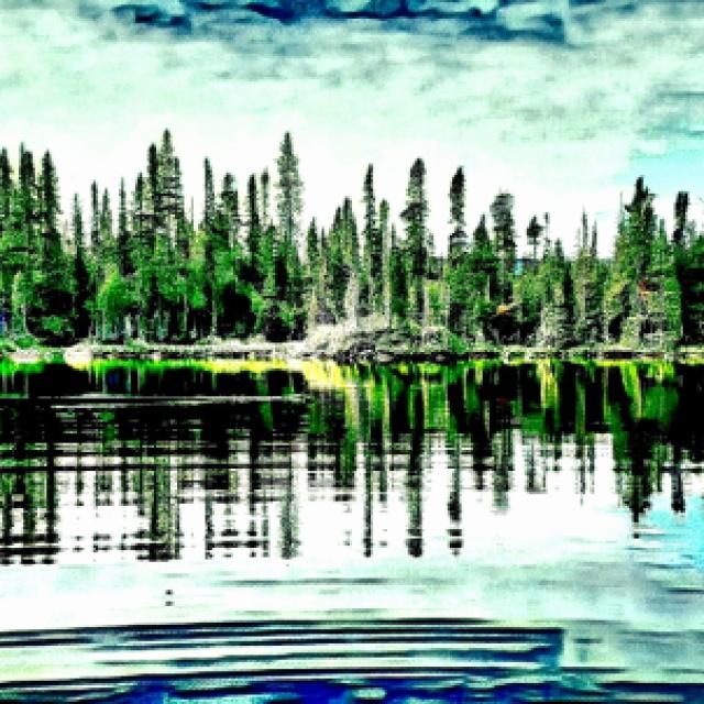 © Terry d'Azur © Terry W. Gravel