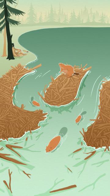 la légende du castor géant - illustration 15