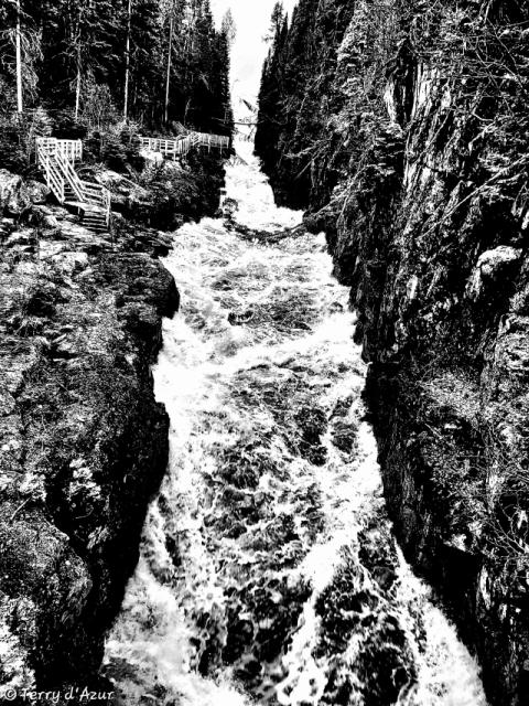 20260810_203323.jpg