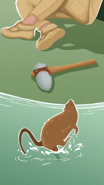 la légende du castor géant - illustration 14