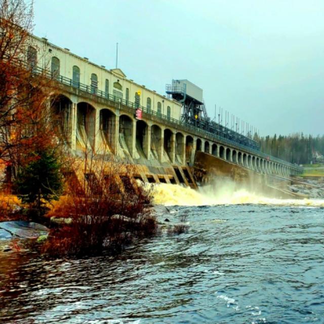 Photo © T. d'Azur © Terry W. Gravel