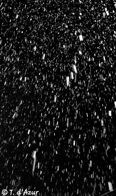 Photo © T. d'Azur © Terry W. Gravel