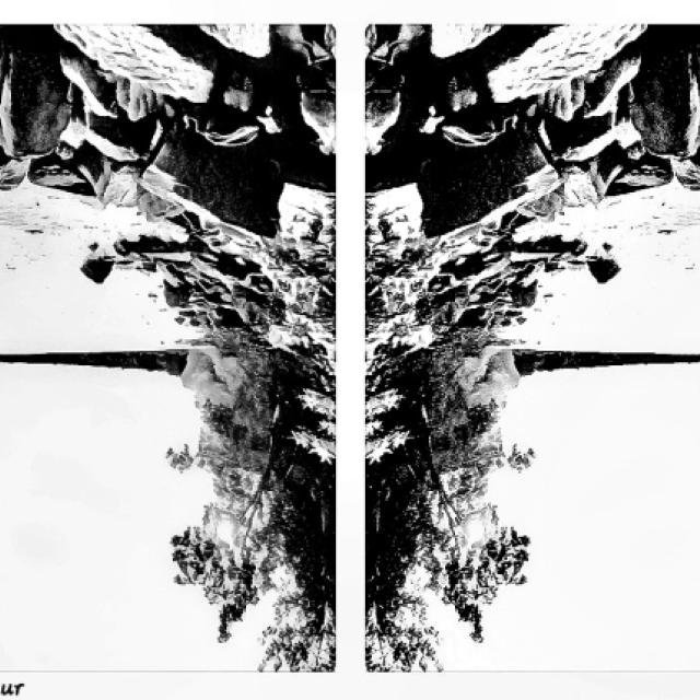© Terry d'Azur © Terry W. Gravel