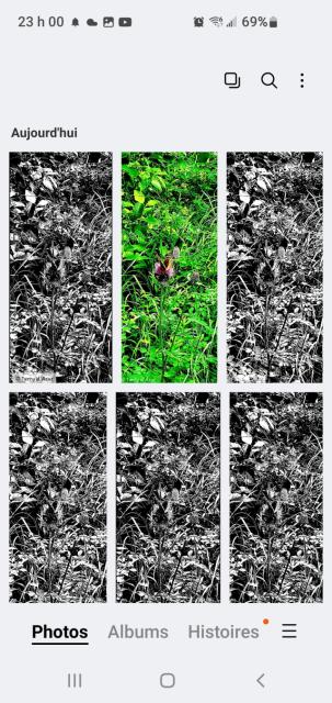 screenshot_20260913-230014_gallery.jpg