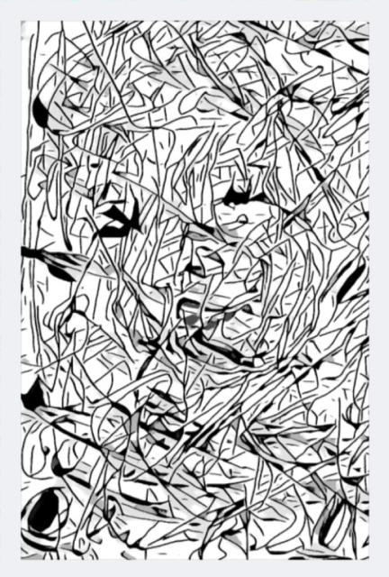 © T. d'Azur © Terry W. Gravel