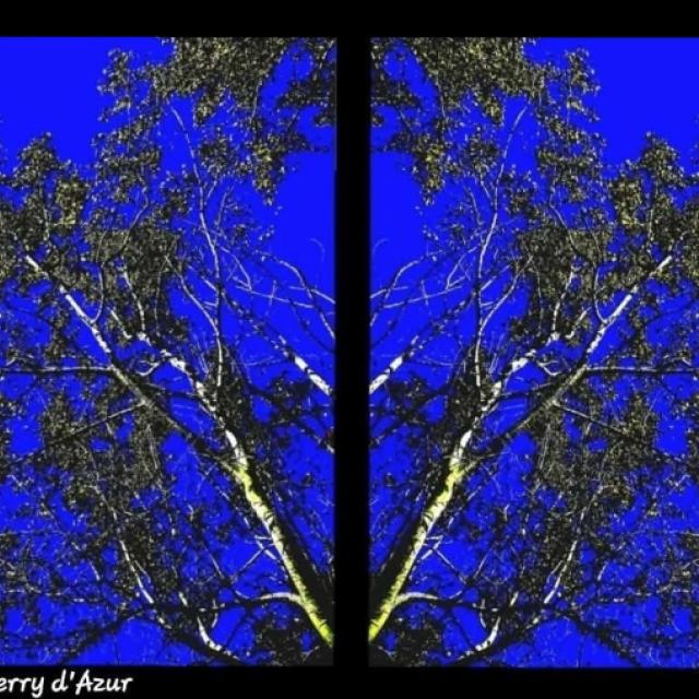 © T. d'Azur © Terry W. Gravel