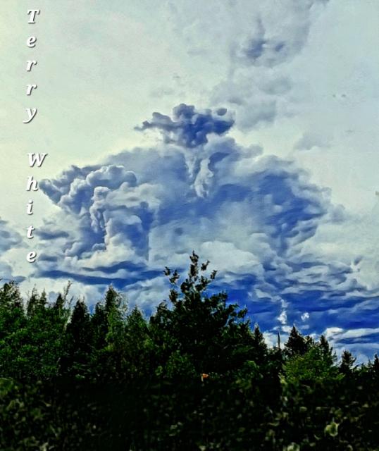 20250530_162255.jpg