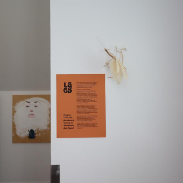 Le cycle des choses... et toutes nos illusions