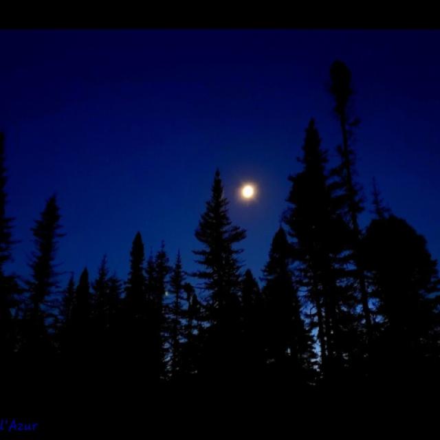 20260921_214407.jpg