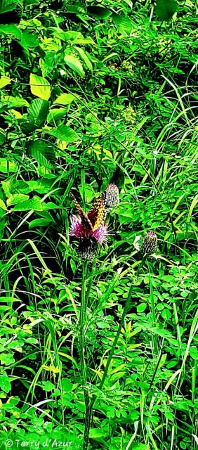 20260912_032815.jpg