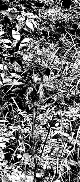 20260913_222905.jpg